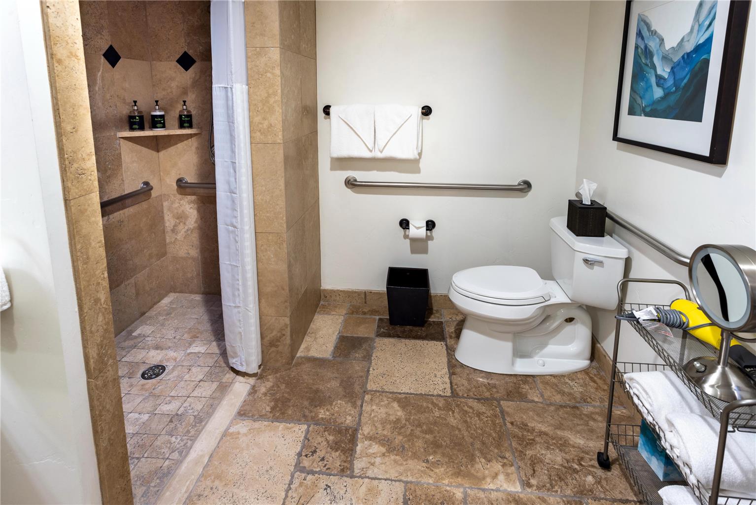 Hyatt Centric Park City - photo 53