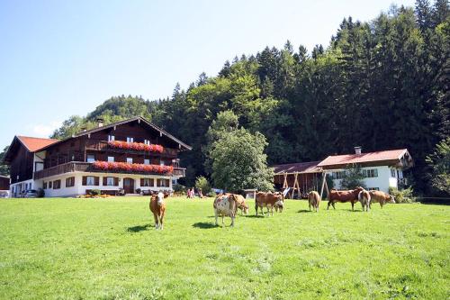 Bauernhof Ertlhof — hotel in Aschau Im Chiemgau