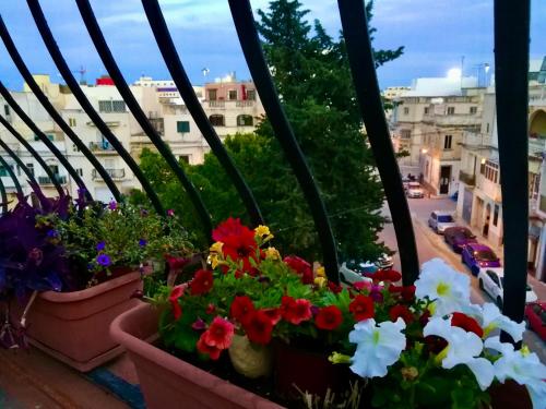 Hidden Gems — Hamrun — photo 5