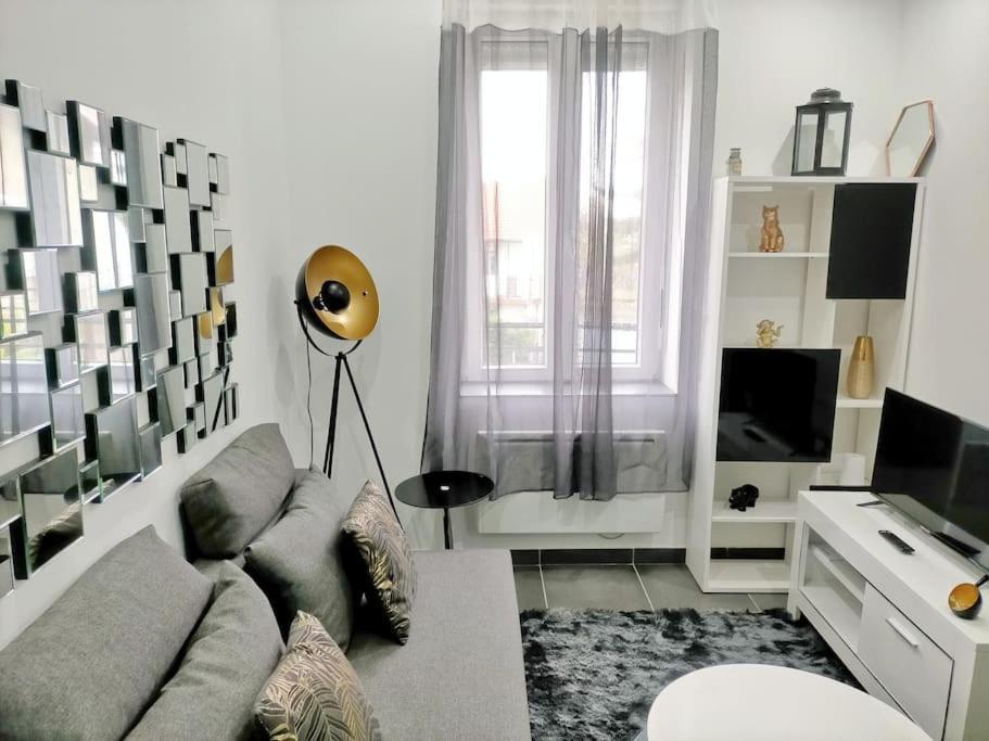 Agreable Et Moderne 2 Pieces Confort Et Design in Clermont-Ferrand, France