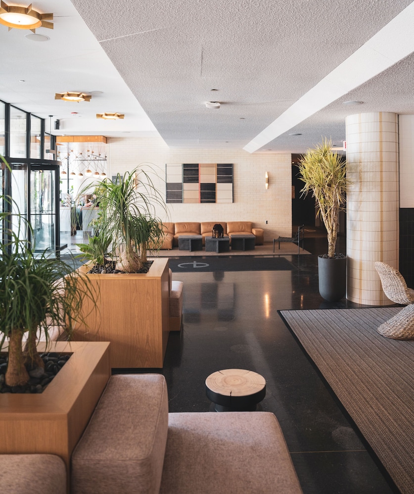 The Emily Hotel - photo 5