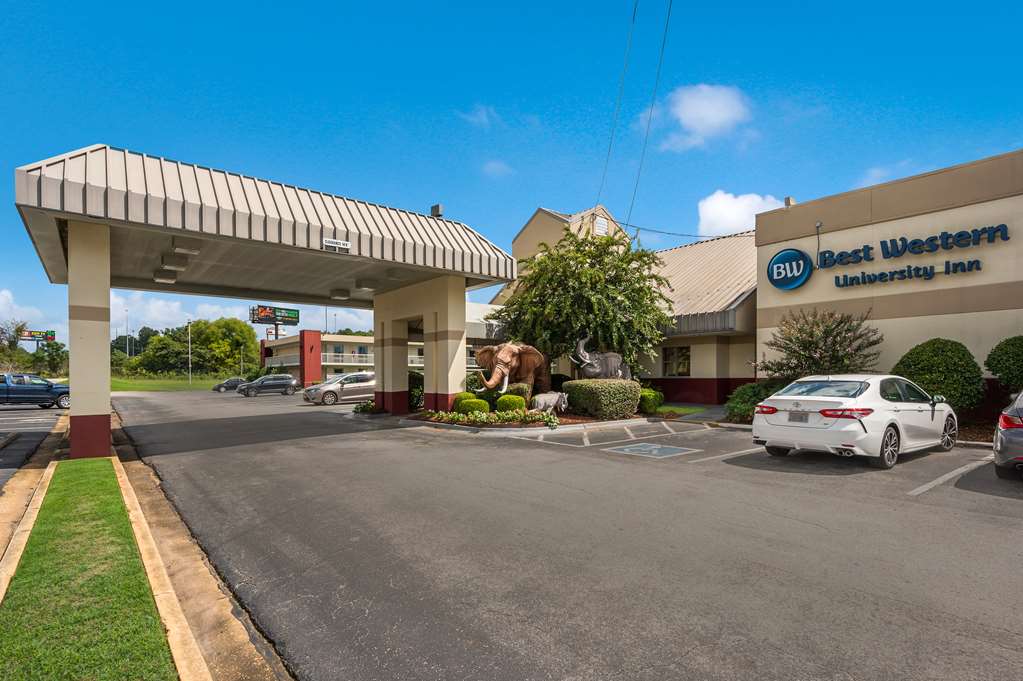 Best Western University Inn Alabama - photo 5