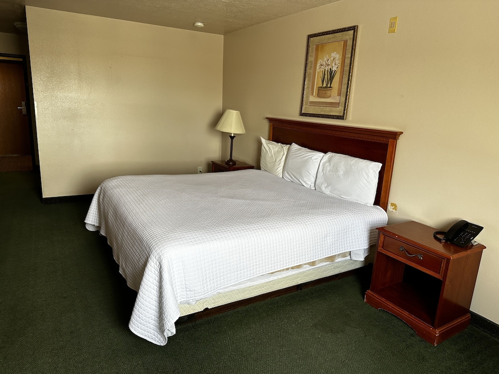 Scipio Hotel - photo 10