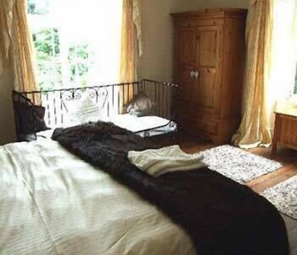 Bodiwan Bed & Breakfast — Bala — photo 2