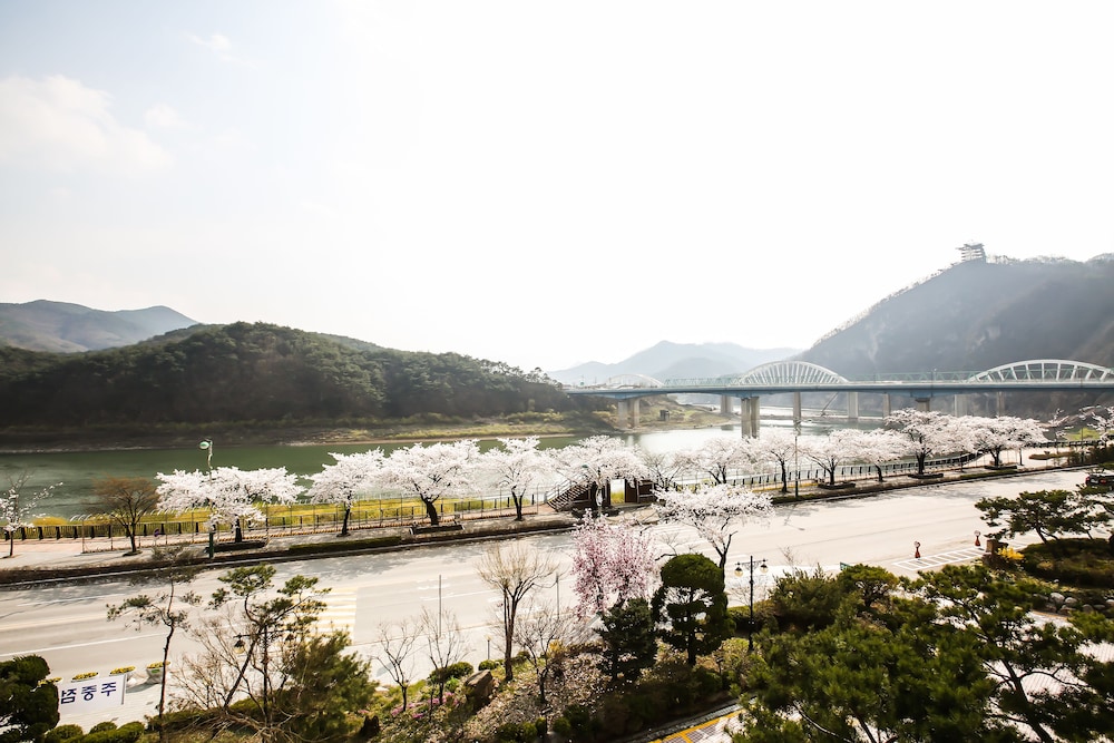 Danyang Tourist Hotel Edelweiss in Daejeon, South Korea