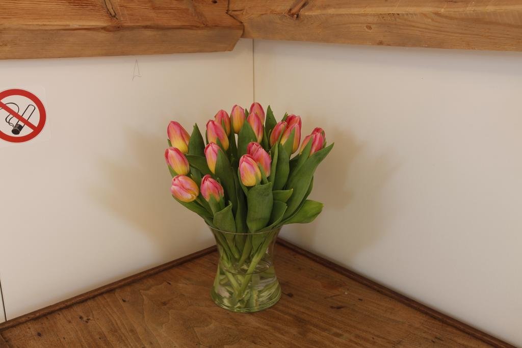 De Sneppelhoeve — Wuustwezel — photo 2