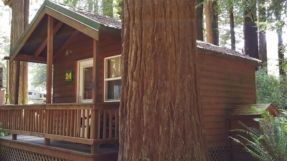 Emerald Forest Cabins - photo 162
