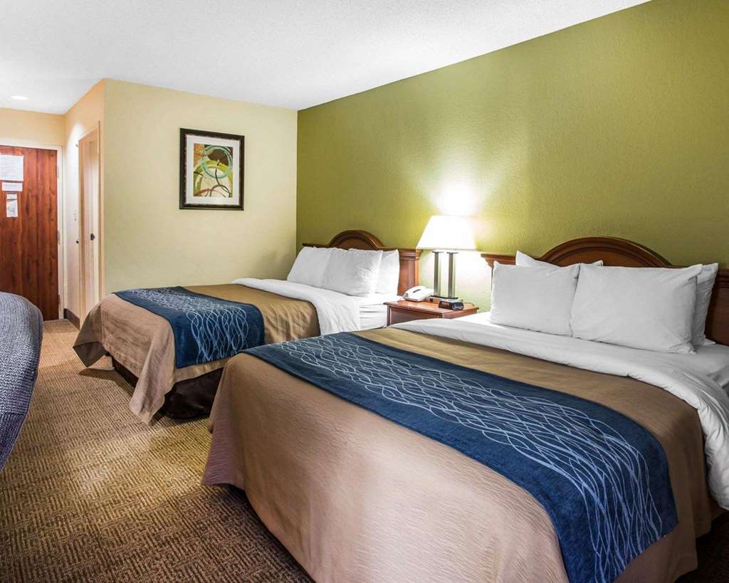 Quality Inn Darien North Brunswick - photo 15