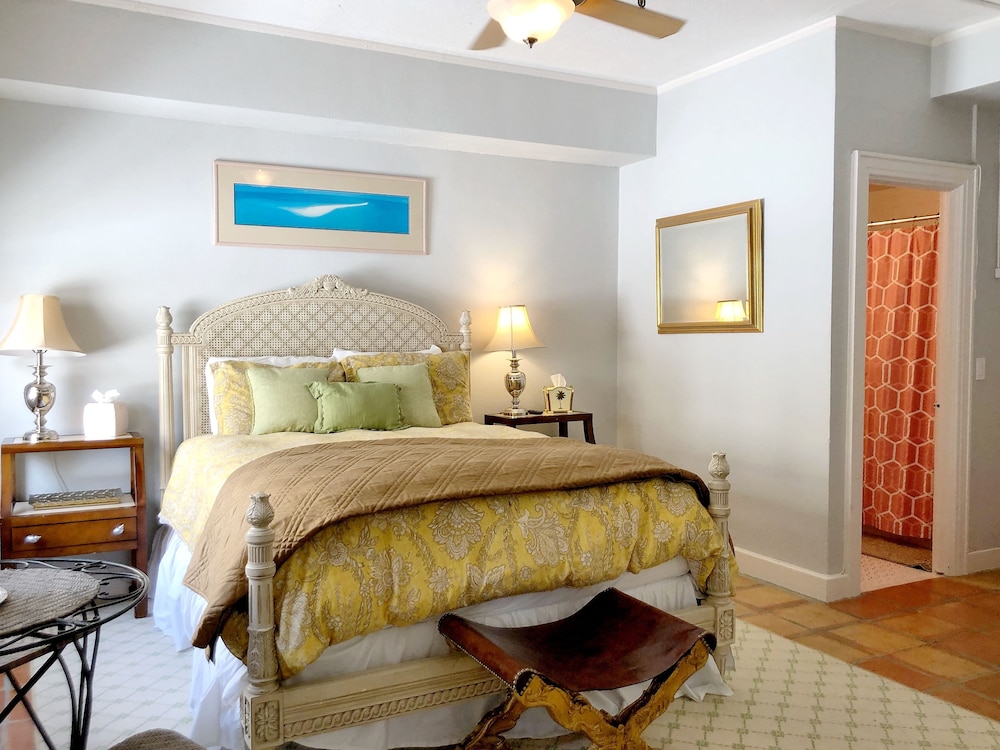 Historic Palm Beach Hotel - photo 8