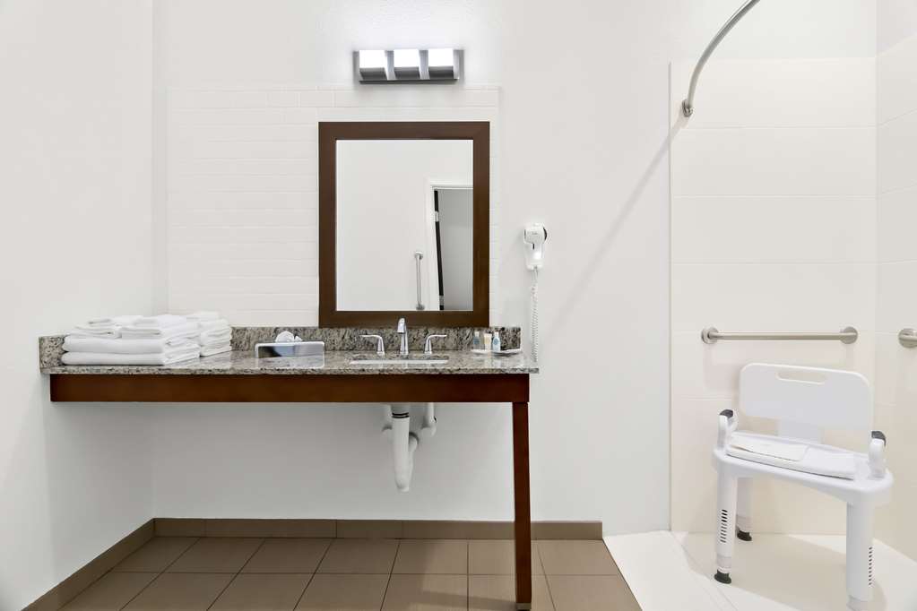 Comfort Suites Rensselaer near Fair Oaks - photo 16