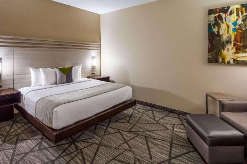 Comfort Inn & Suites Houston I 45 North IAH - photo 34