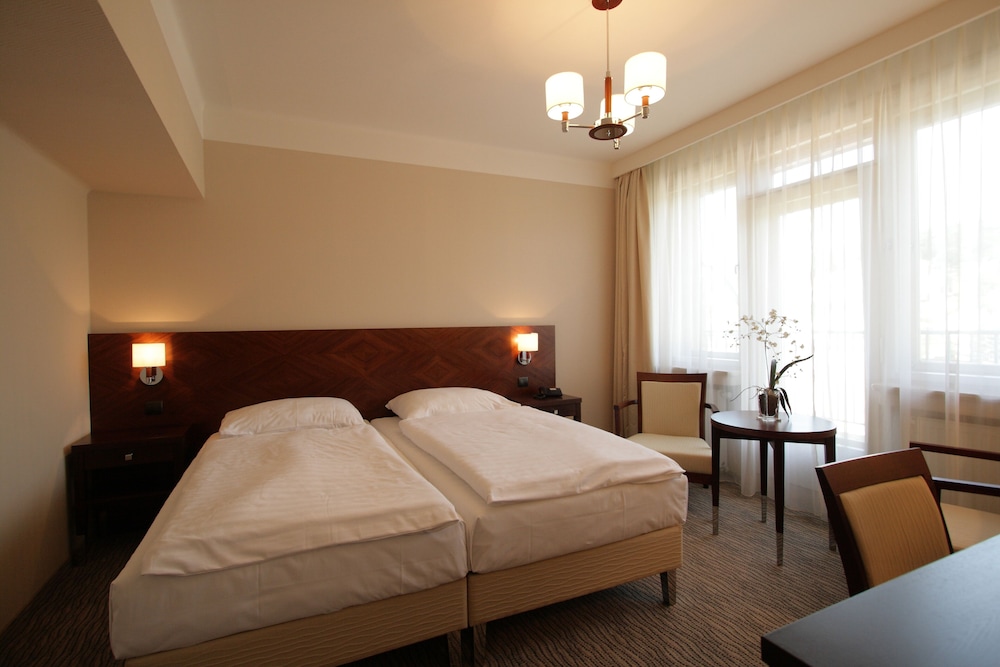 Alexandria Spa & Wellness Hotel — Luhacovice — photo 5