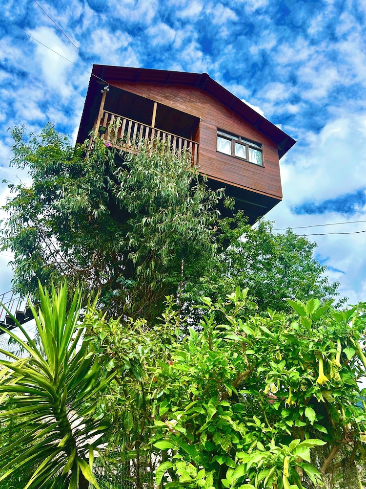 Casita Del Arbol Trini By GEstores — hotel in Omitlan De Juarez
