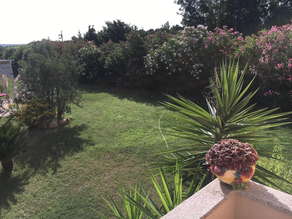 Vialla Daniela - last minute hotel in Olbia