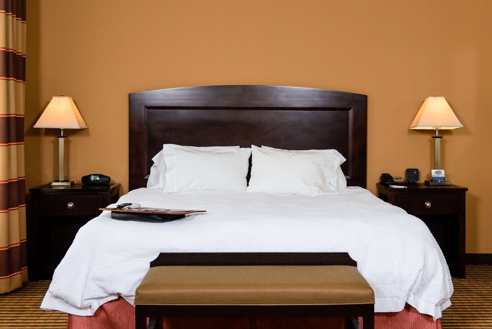 Hampton Inn & Suites Port Arthur - photo 11