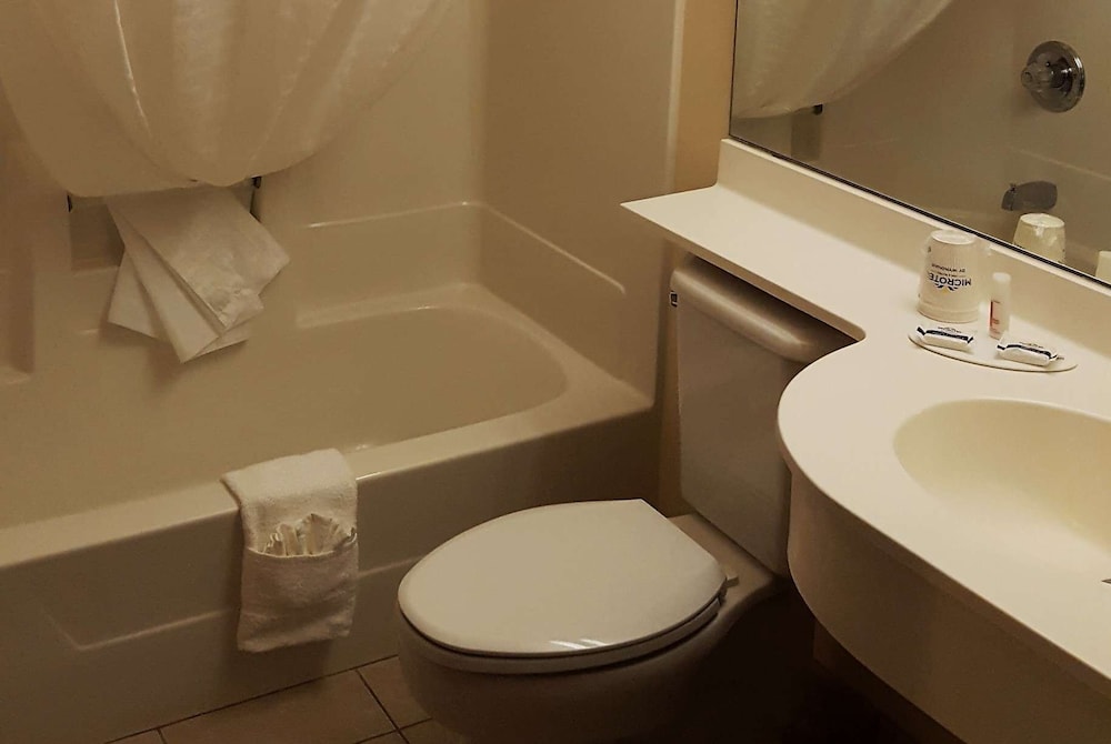 Microtel Inn & Suites by Wyndham Bellevue Omaha - photo 14