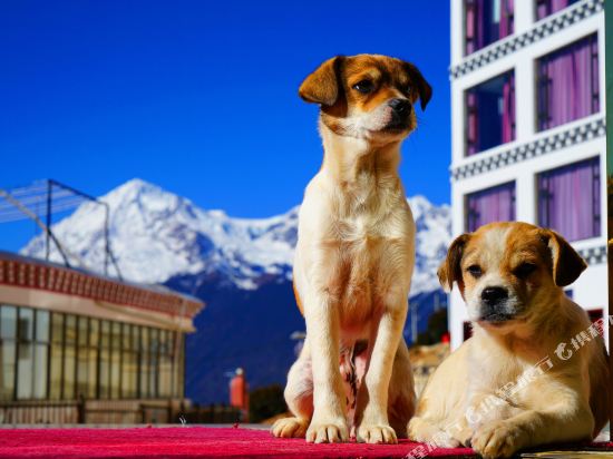 Pearl Laka Snow Mountain Landscape Hotel in Shengping, People's Republic of China