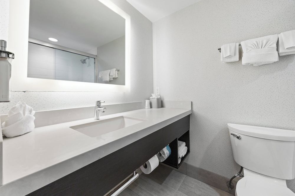Holiday Inn Express Sunnyvale Silicon Valley by IHG - photo 29
