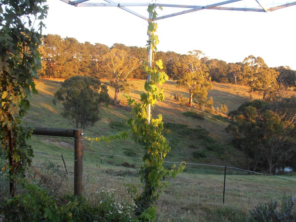 Springmead B&B — Lithgow — photo 2