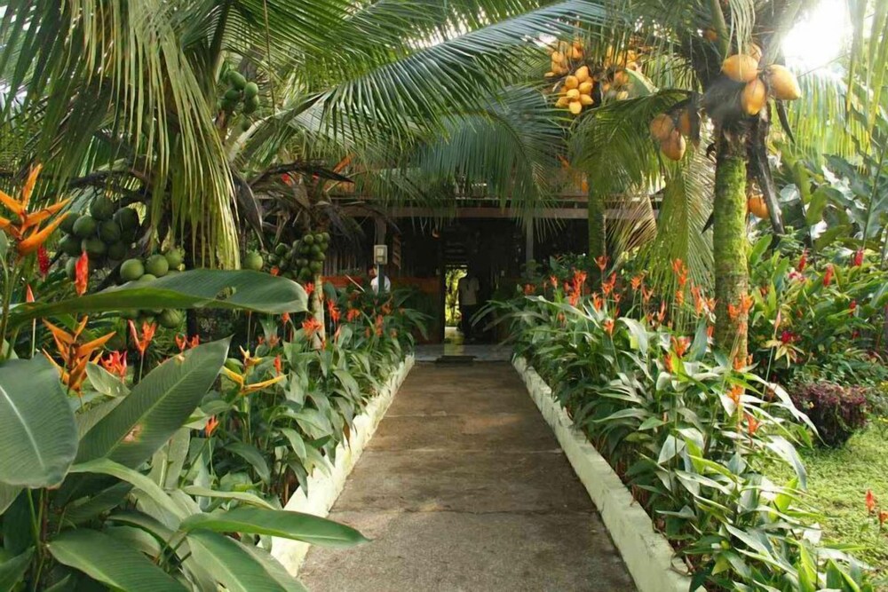 Posada Los Delfines — Bahia Solano