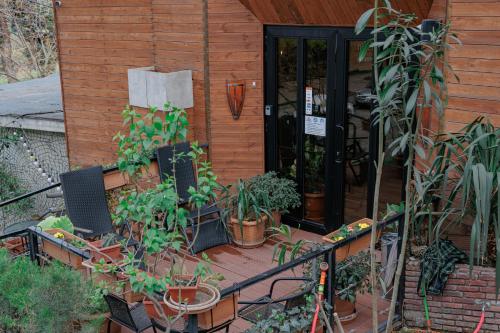 Piano Borracho Boutique Hotel Old Tbilisi