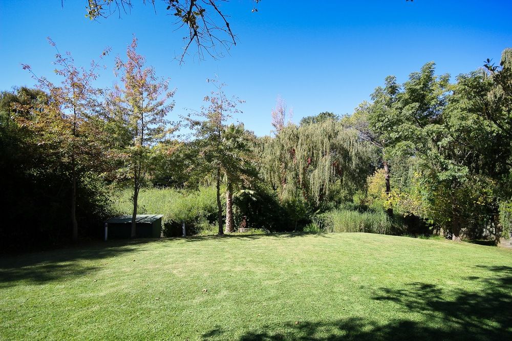 Constantia Spring