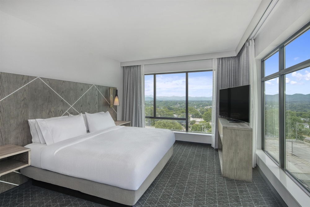 Embassy Suites By Hilton Asheville Downtown - photo 18