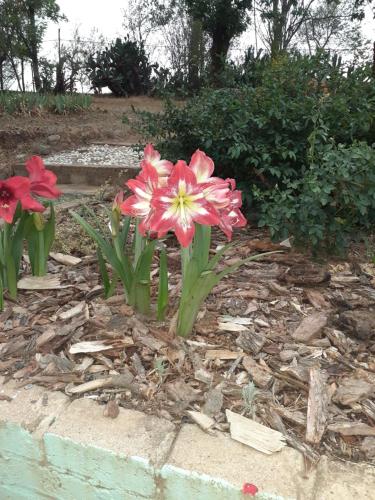 Chara Farm Stay in Bethlehem, South Africa