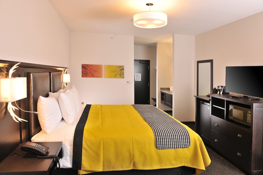 Stoney Creek Hotel Kansas City Independence - photo 13