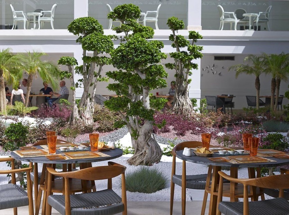 מראה חיצוני