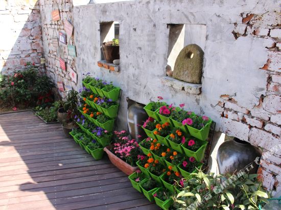 Summer like s mint in Caiyuan, People's Republic of China