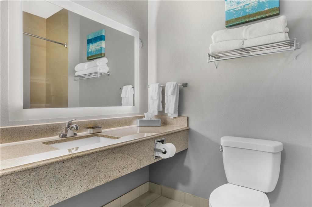 Best Western Plus Fort Worth Forest Hill Inn & Suites - photo 40