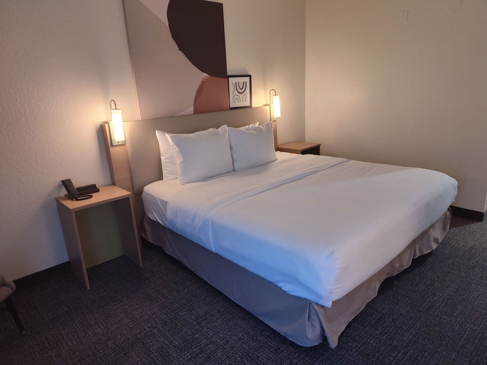 Spark by Hilton Stevensville - photo 13