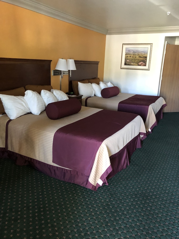 Cloverdale Wine Country Inn & Suites - photo 11