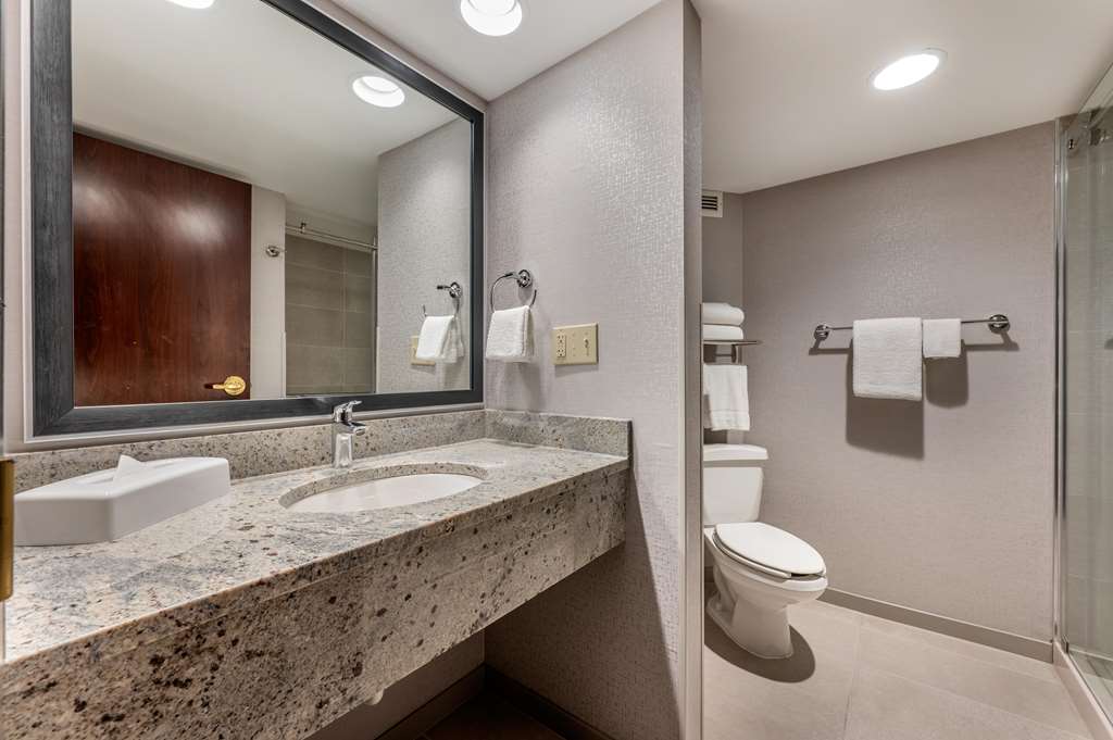 Drury Inn & Suites Champaign - photo 40