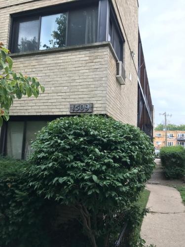 Farwell dream - carbon neutral hotel in Chicago