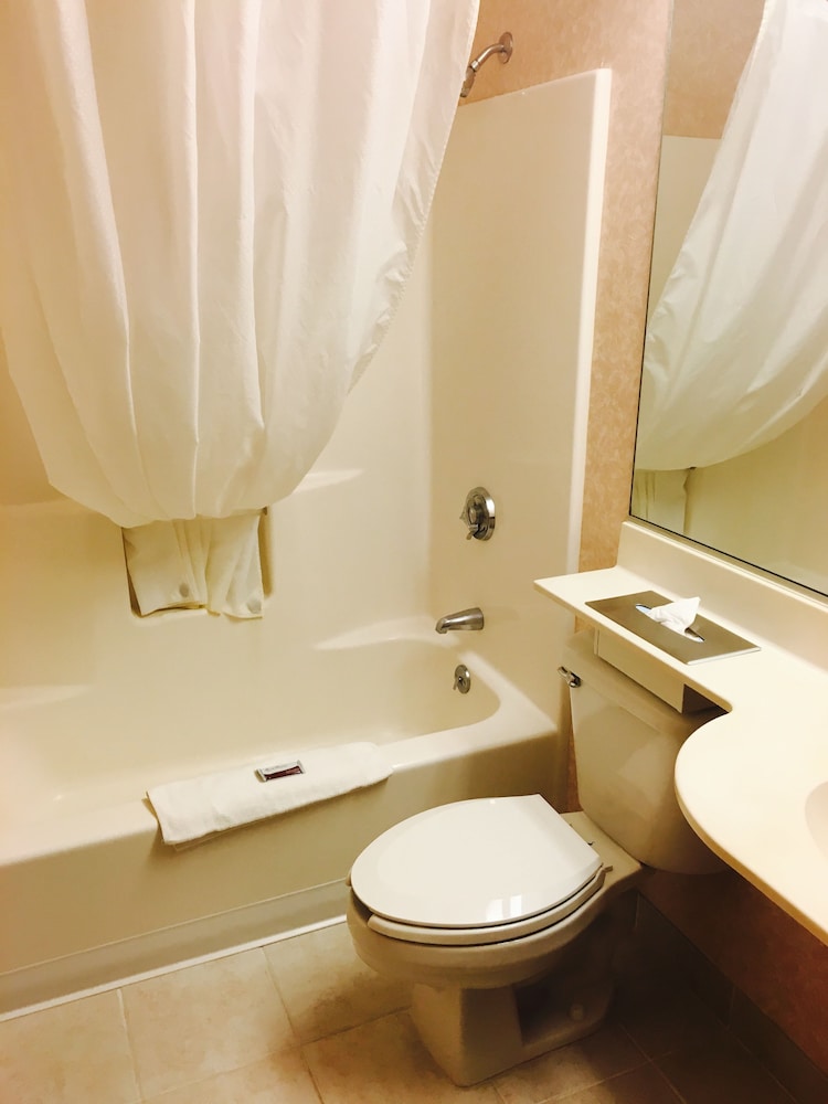 Microtel Inn & Suites by Wyndham Baldwinsville Syracuse - photo 24