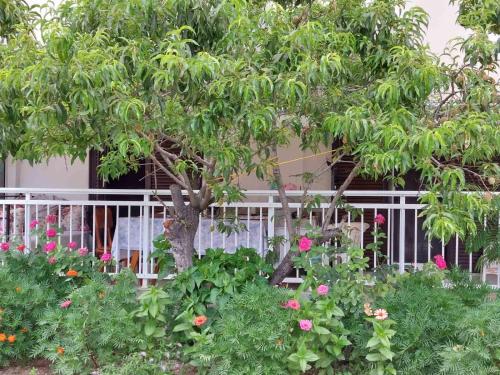 Studio Aloe — 4-Star Luxury Hotel in Nea Iraklitsa, Greece