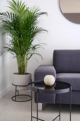 Apartments HUGO 2 — 4-Star Luxury Hotel in Split, Croatia