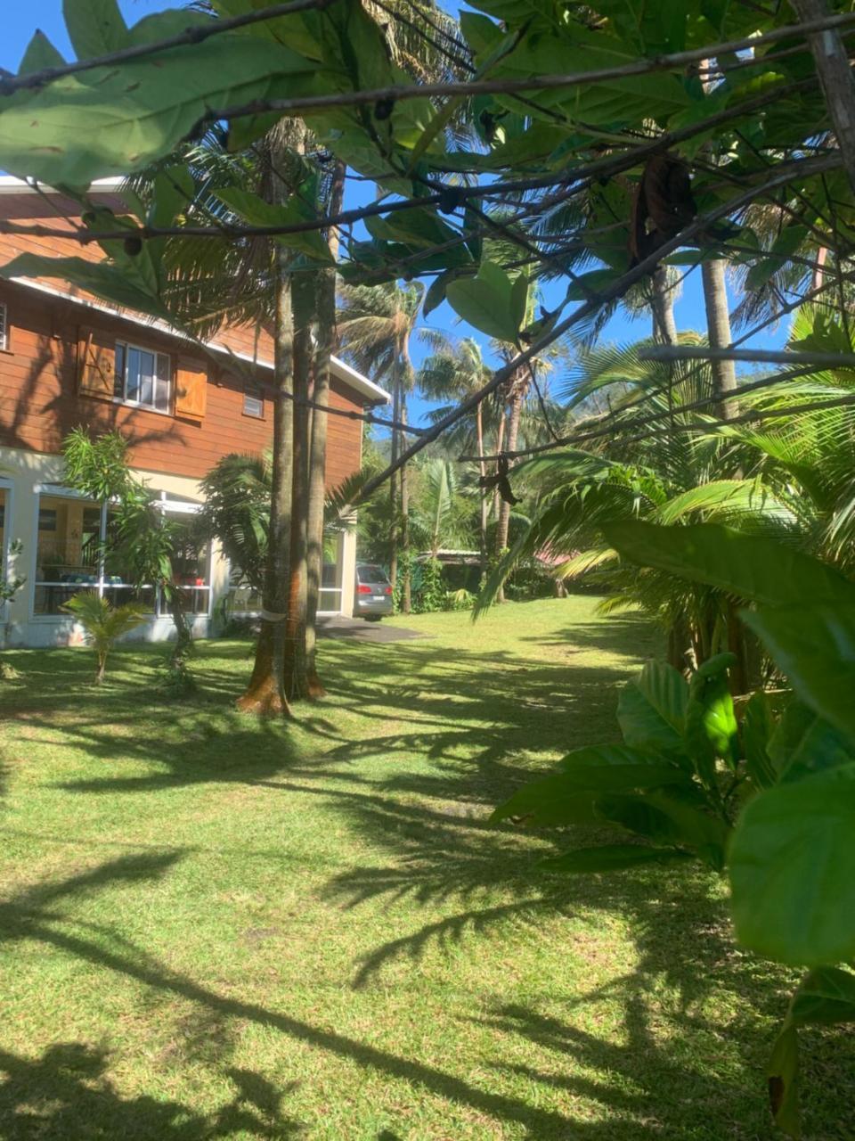 Les Hibiscus in Saint-Philippe, Réunion