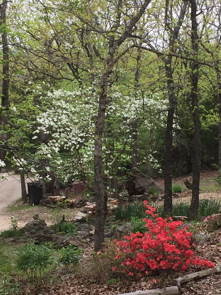 Cherokee mountain log cabin resort - photo 55