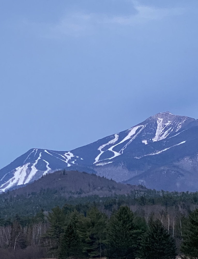 Whiteface Farm Adirondack Bed and Breakfast - photo 38