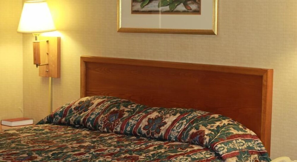Palmetto Inn Florence - photo 3