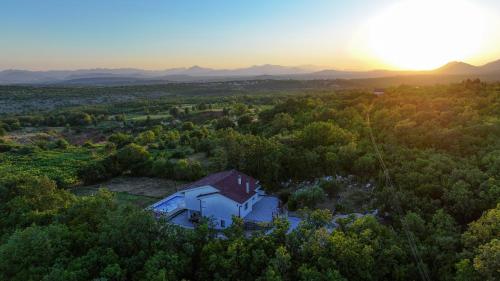 Olives Garden in Citluk, Bosnia and Herzegovina