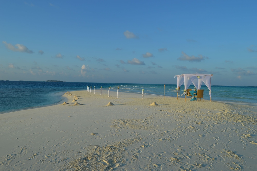 Outdoor wedding area