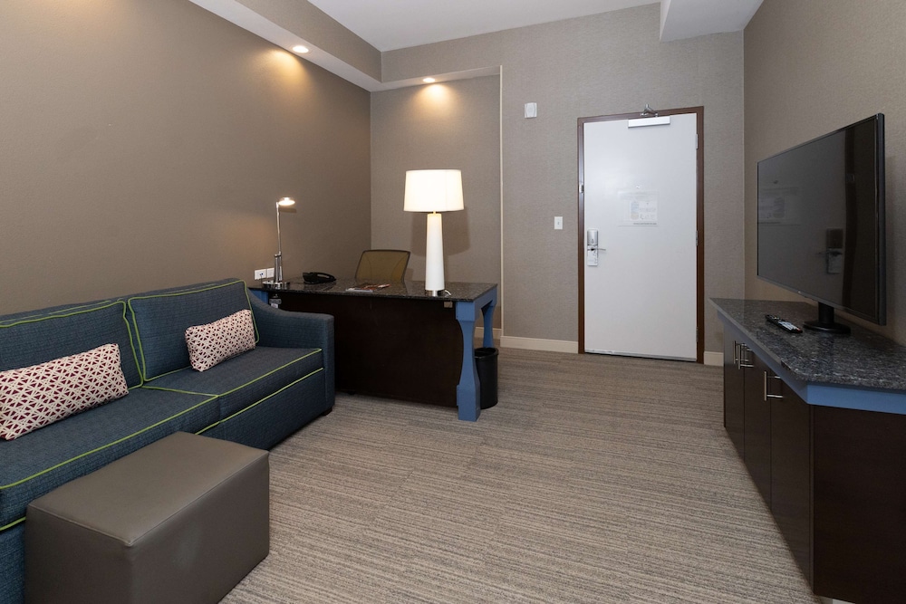 Hilton Garden Inn Austin Airport - photo 15