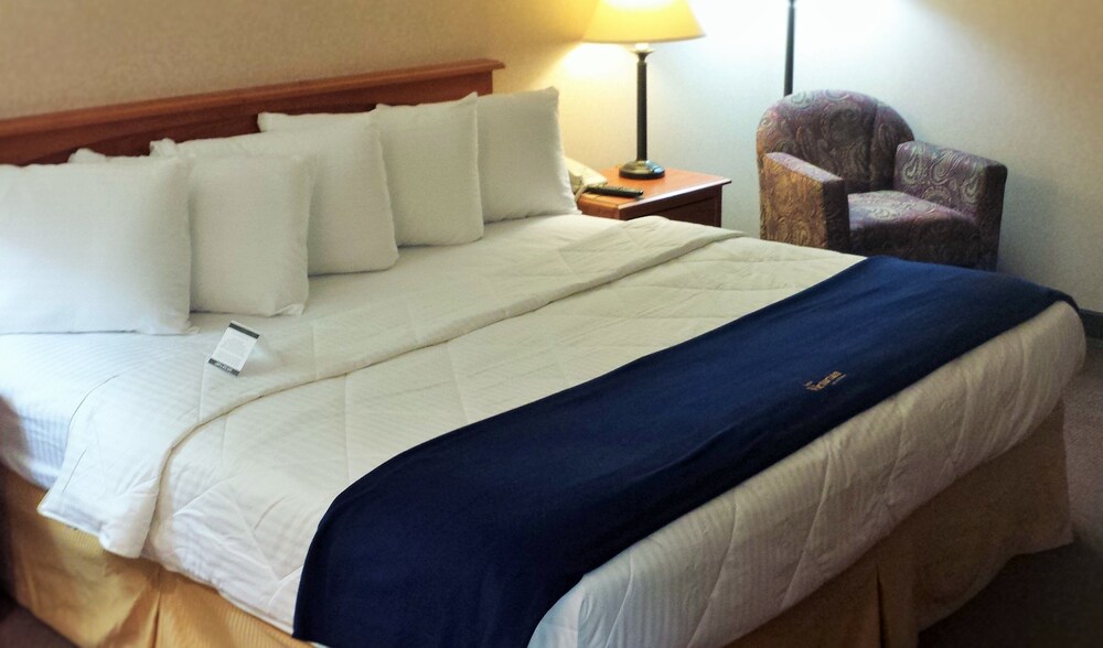 New Victorian Inn & Suites - photo 20