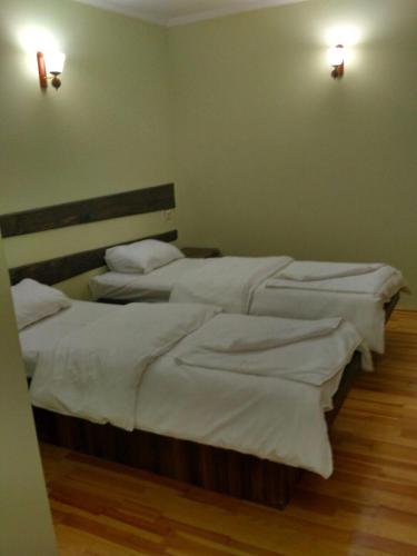 Cheremosh - carbon neutral hotel in Yablunytsya