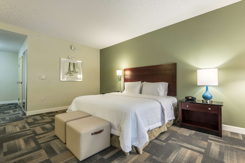 Hampton Inn & Suites Orlando South Lake Buena Vista - photo 13