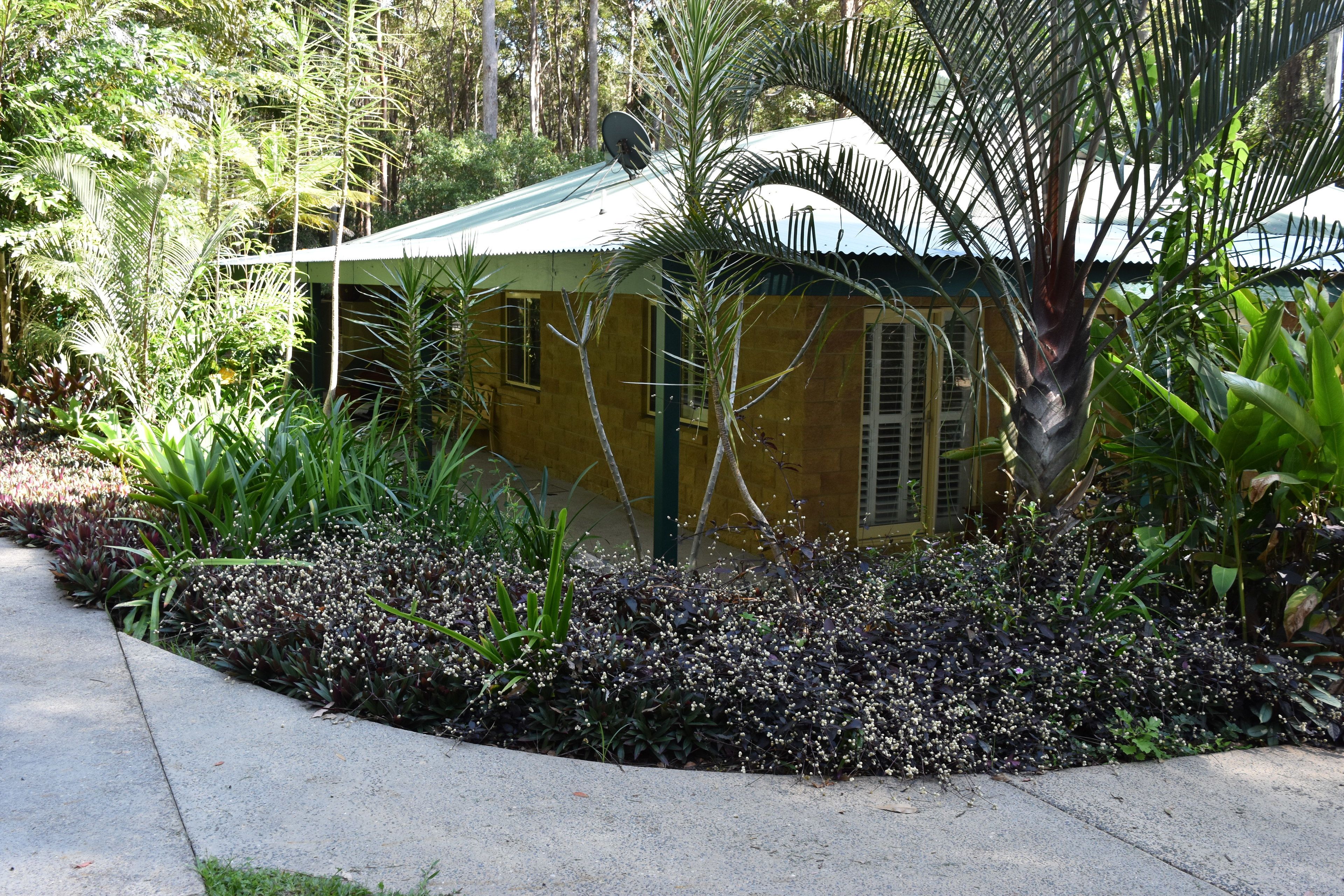 Beechs Brook Rainforest Retreat — Noosa Heads
